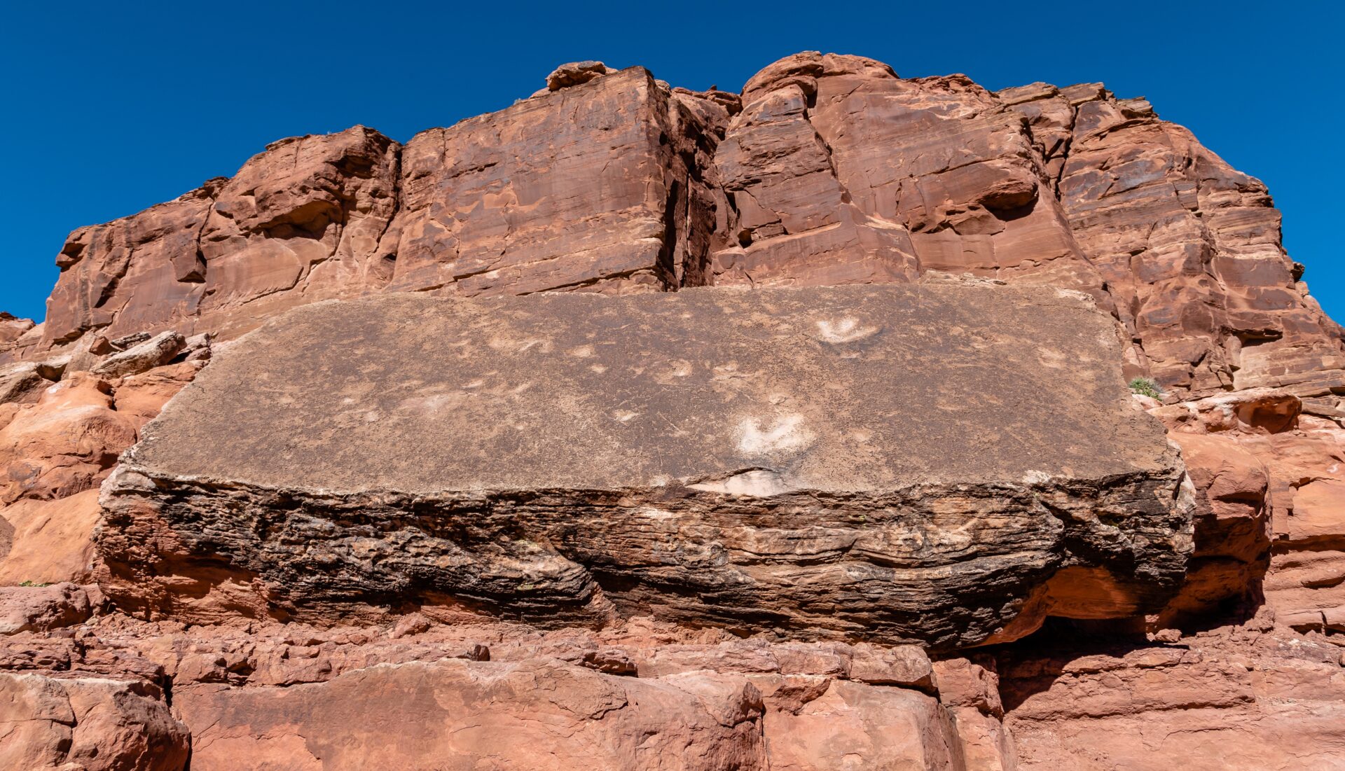Moab dinosaur tracks