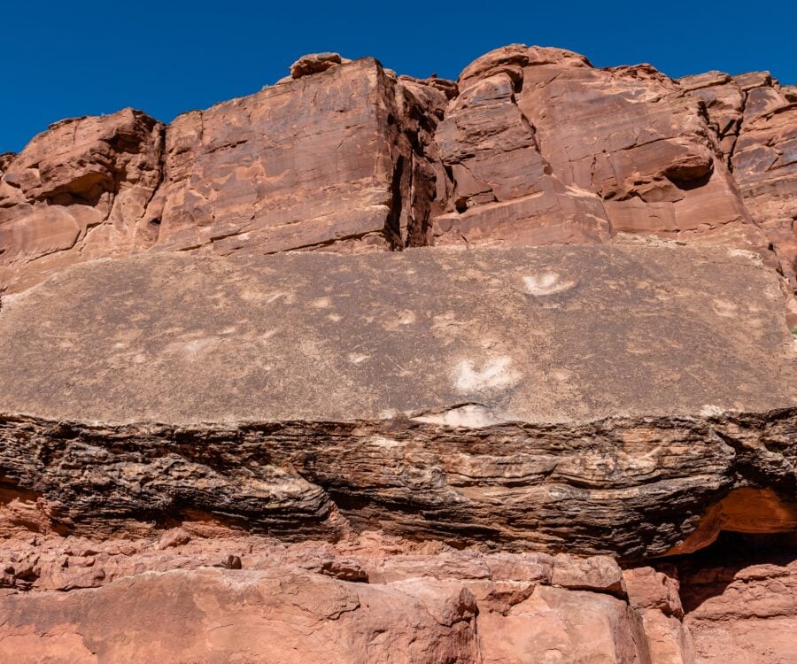 Moab dinosaur tracks