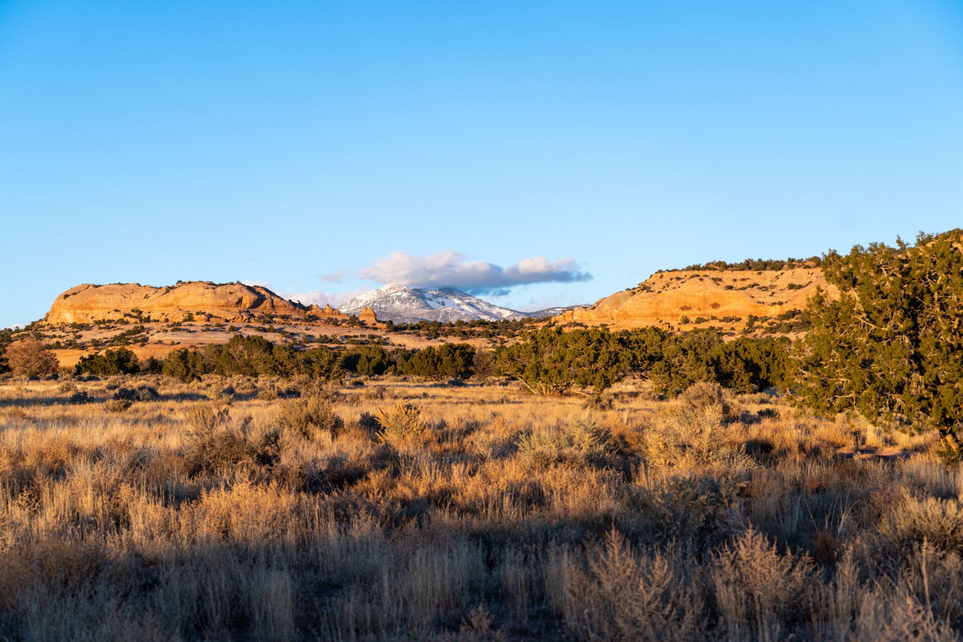 Moab Landdscapes