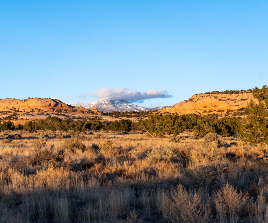 Moab Landdscapes