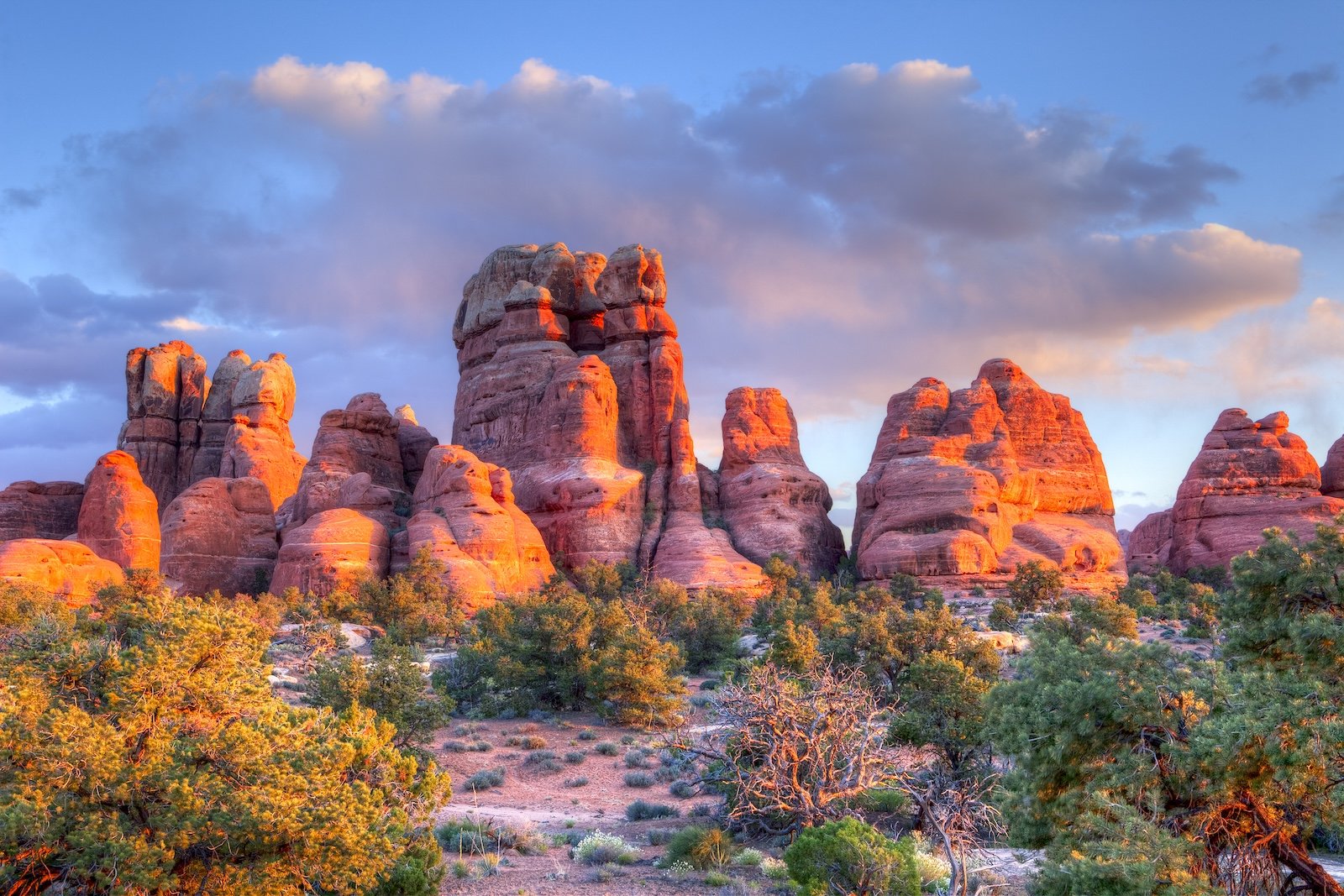 Golden light dapples red rock formations in the Needles District of Canyonlands National Park.