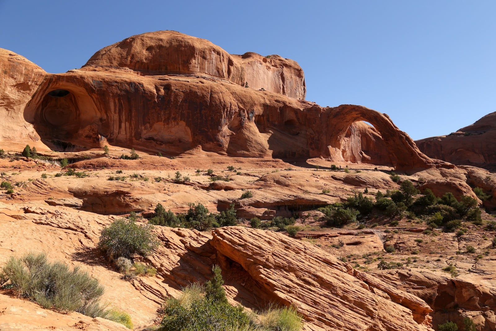 Carona and Bowtie arch in Moab, Utah.