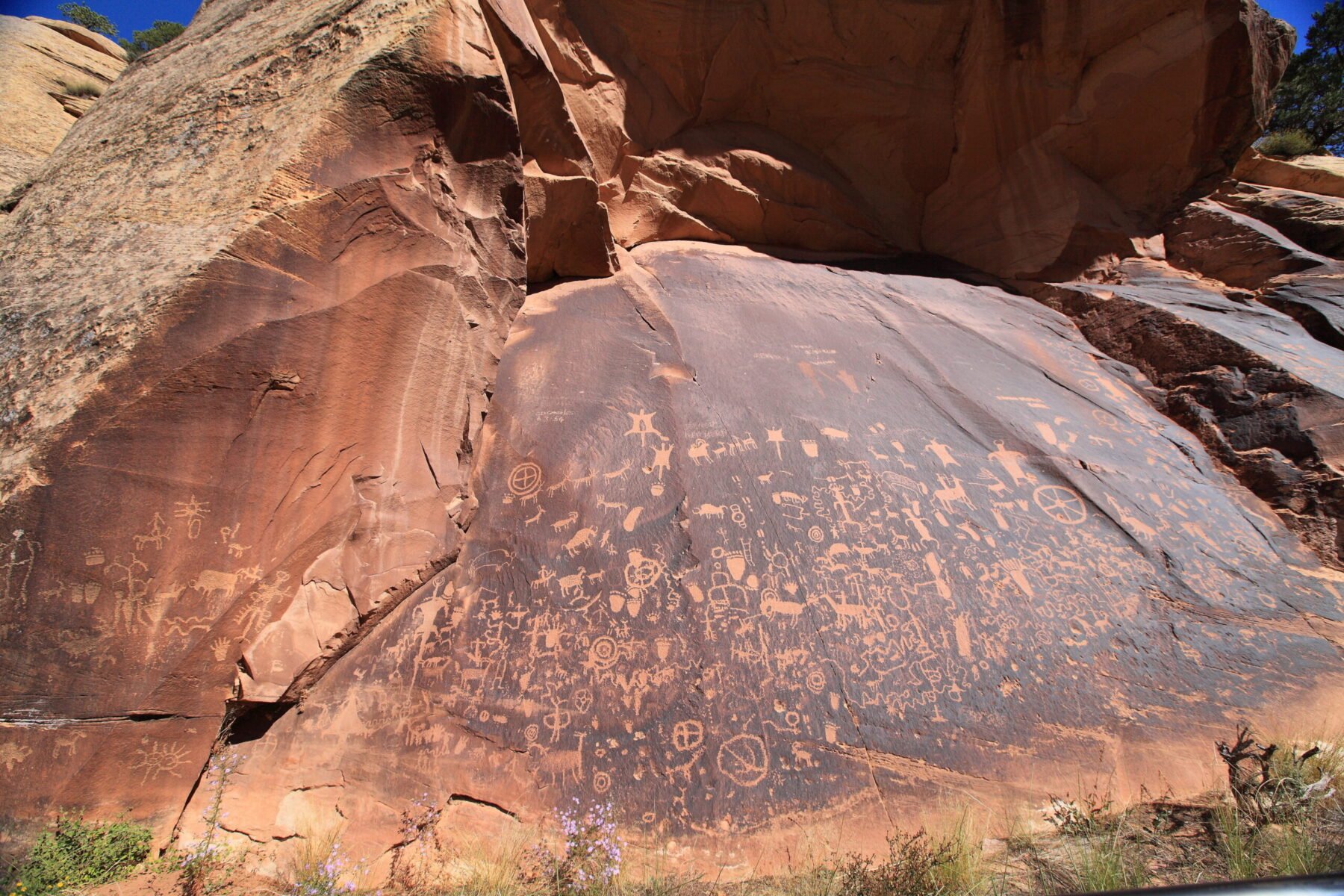 Newspaper Rock, an expanse of rock adorned with petroglyphs in Moab, Utah.